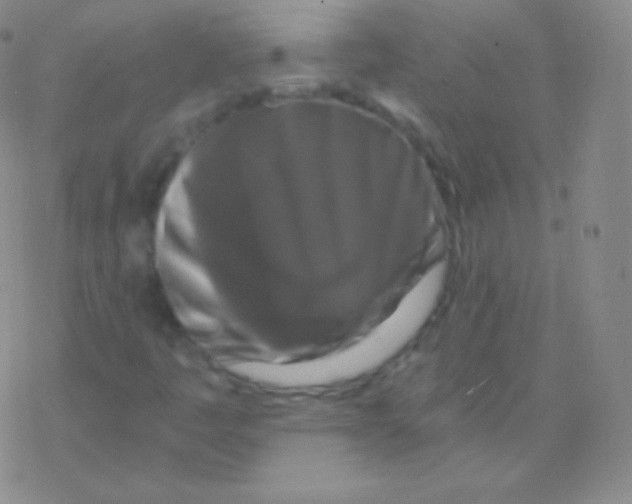 X0000076311445200610271927