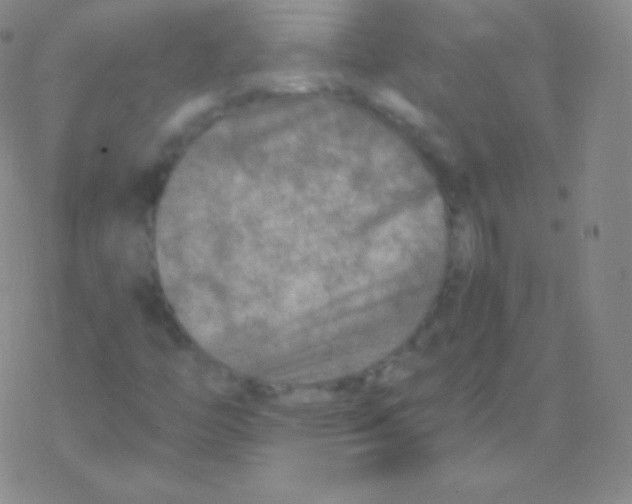 X0000076311446200610271927