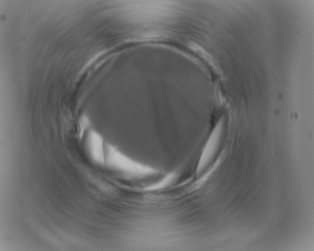 X0000076311449200610271927