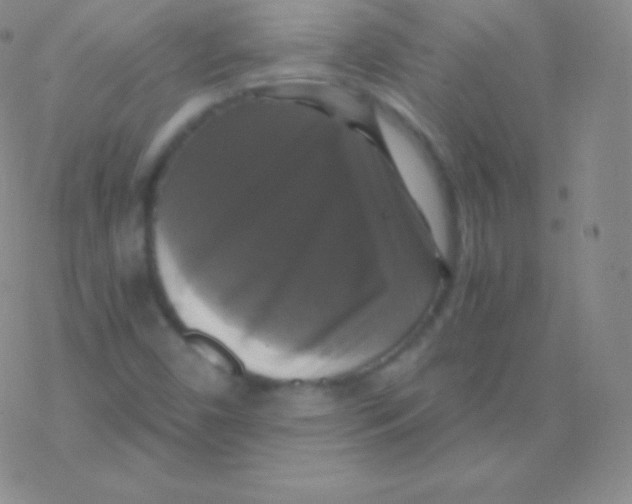 X0000076311450200610271927