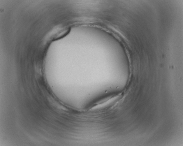 X0000076311451200610271927