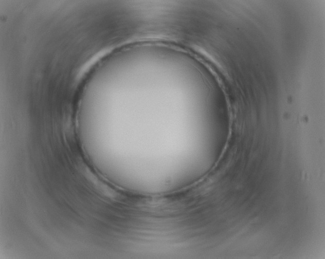 X0000076311452200610271927