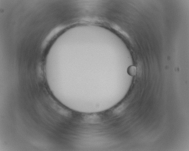 X0000076311454200610271927