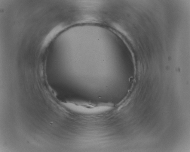 X0000076311455200610271927