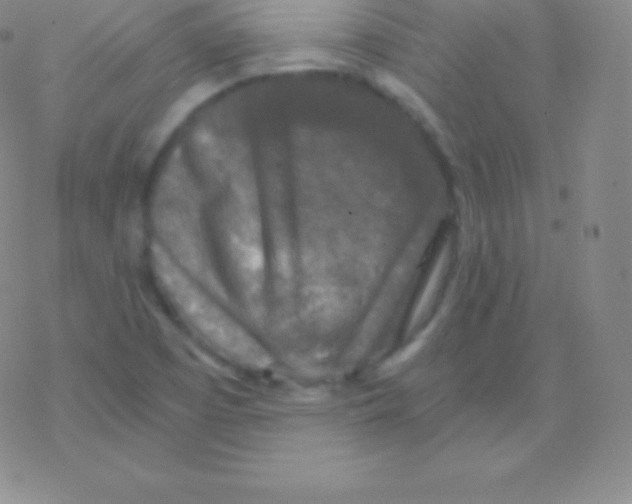 X0000076311457200610271927