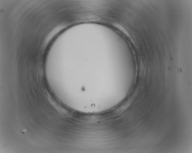 X0000076311458200610271927