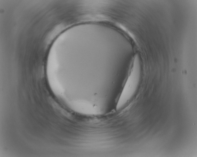 X0000076311459200610271927