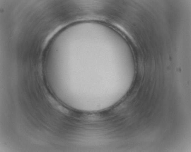 X0000076311460200610271927