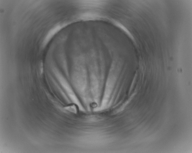 X0000076311461200610271927