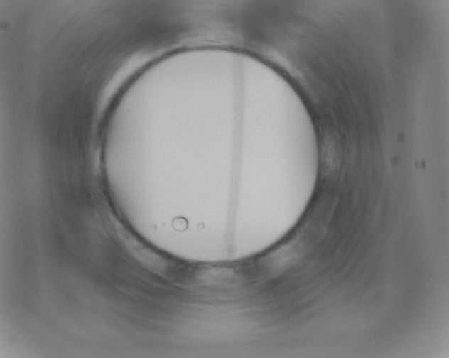 X0000076311462200610271927