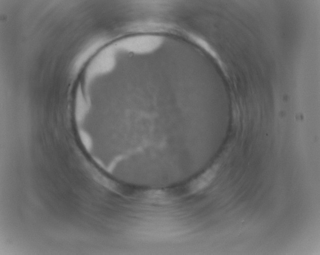 X0000076311463200610271927