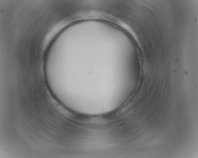 X0000076311464200610271927