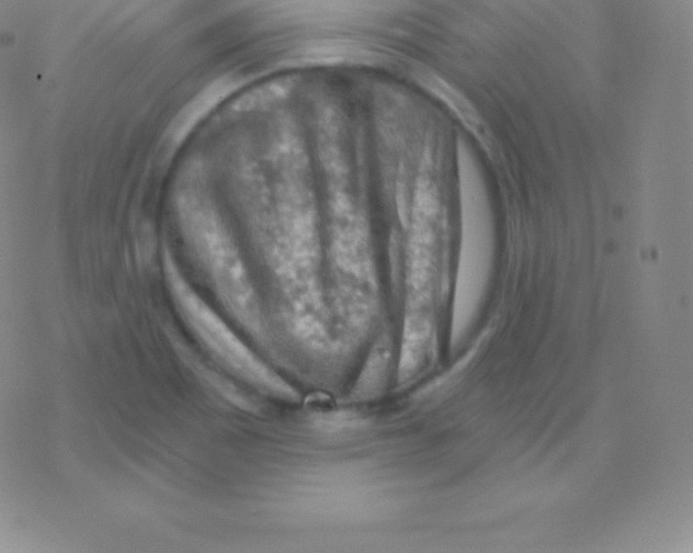 X0000076311465200610271927