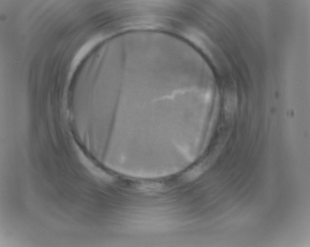 X0000076311466200610271927