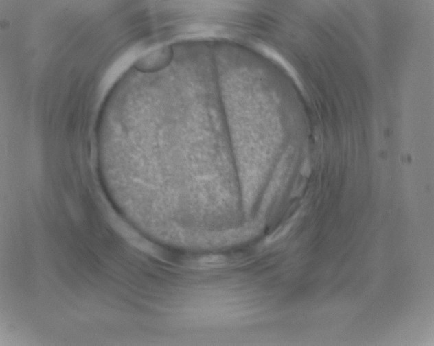 X0000076311467200610271927