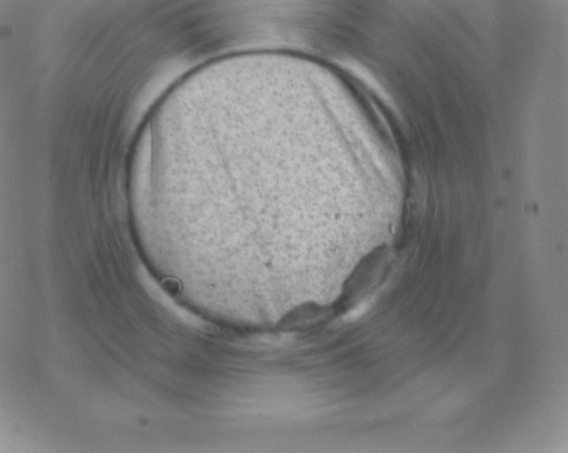 X0000076311468200610271927