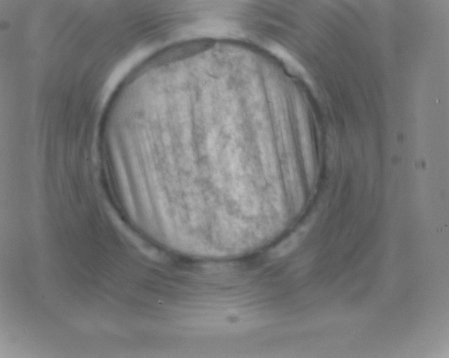 X0000076311469200610271927