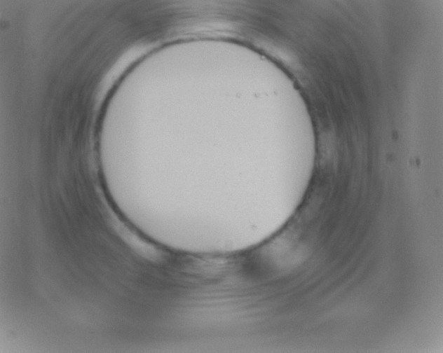 X0000076311470200610271927