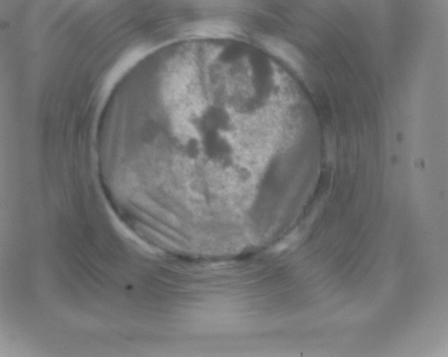 X0000076311471200610271927