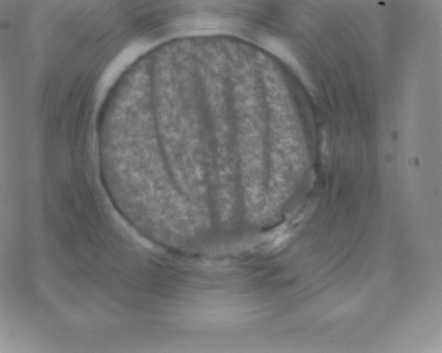 X0000076311472200610271927