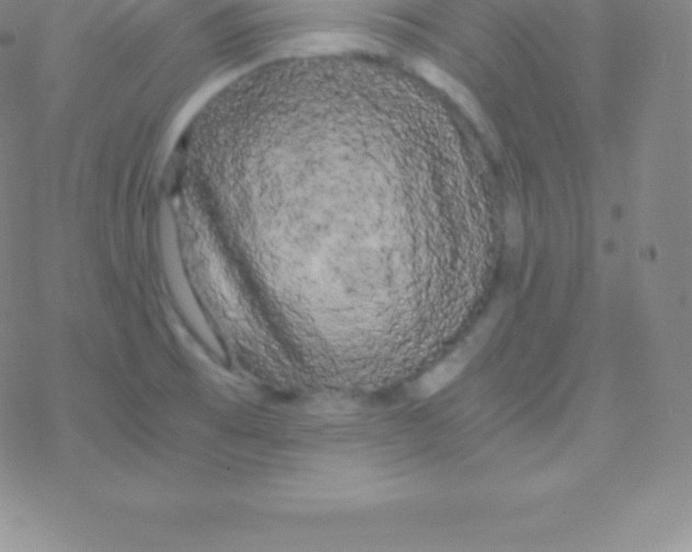 X0000076311473200610271927