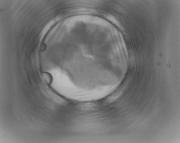 X0000076311474200610271927