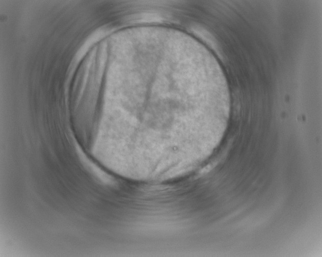 X0000076311475200610271927