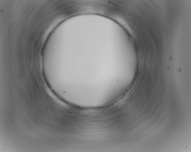 X0000076311476200610271927