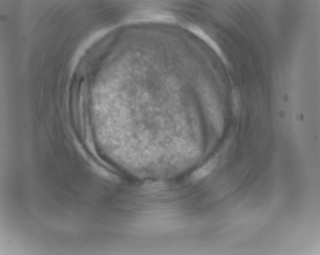 X0000076311477200610271927