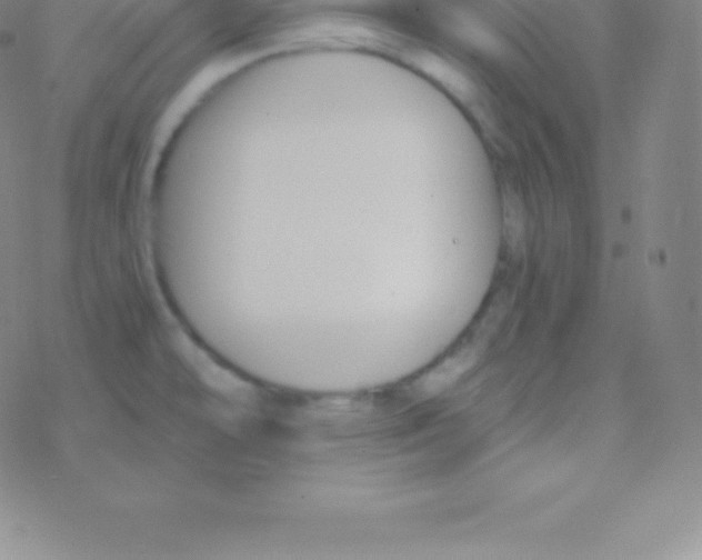 X0000076311478200610271927