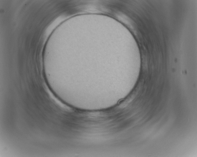 X0000076311479200610271927