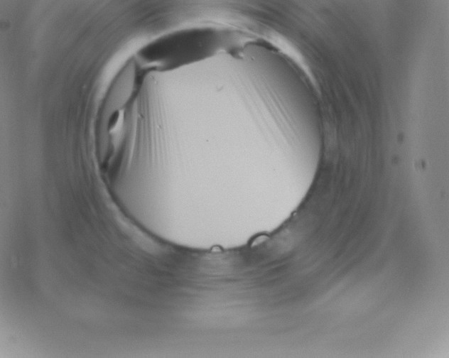 X0000076311480200610271927