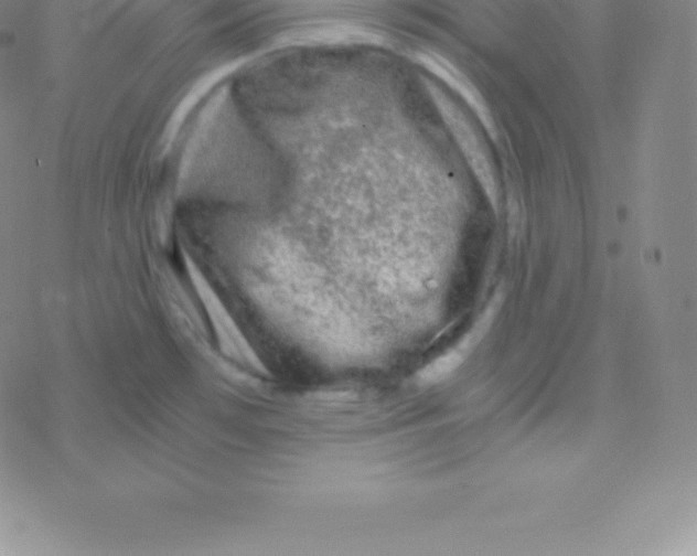 X0000076311481200610271927