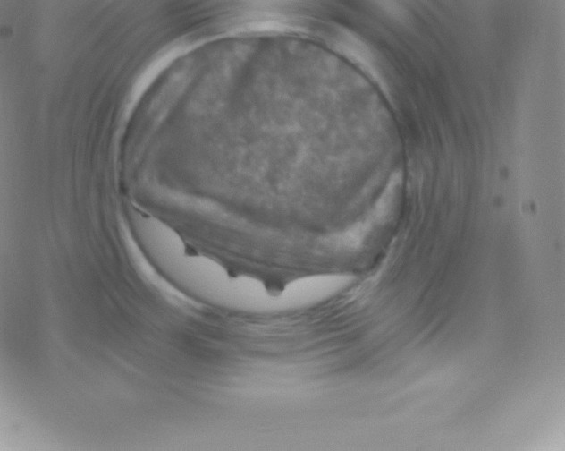 X0000076311483200610271927