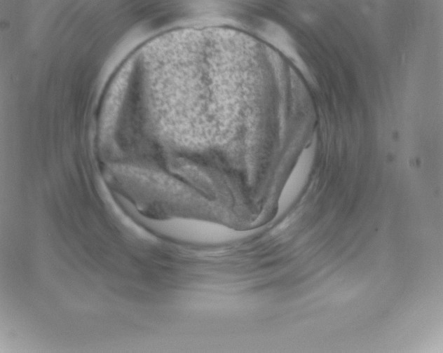 X0000076311484200610271927