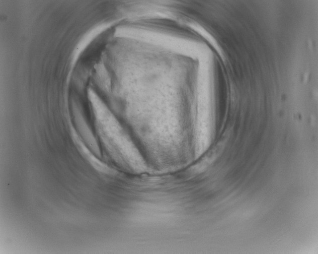 X0000076311485200610271927