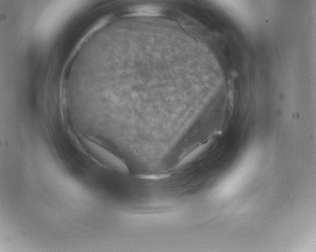 X0000076311487200610271927