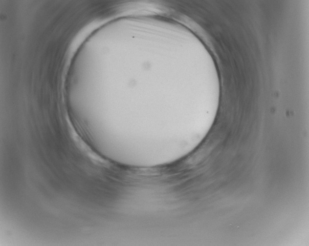 X0000076311488200610271927