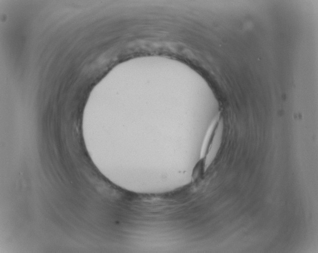 X0000076311489200610271926