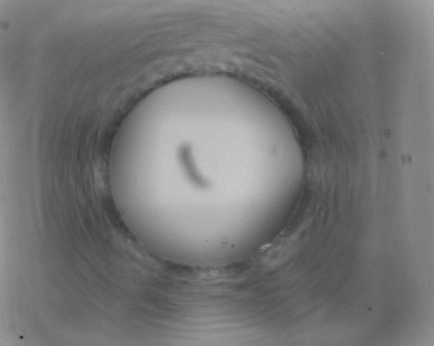 X0000076311490200610271926