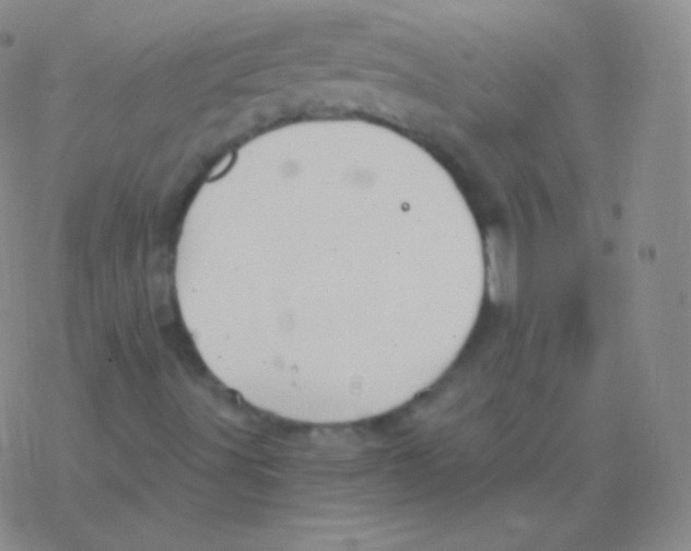 X0000076311491200610271926