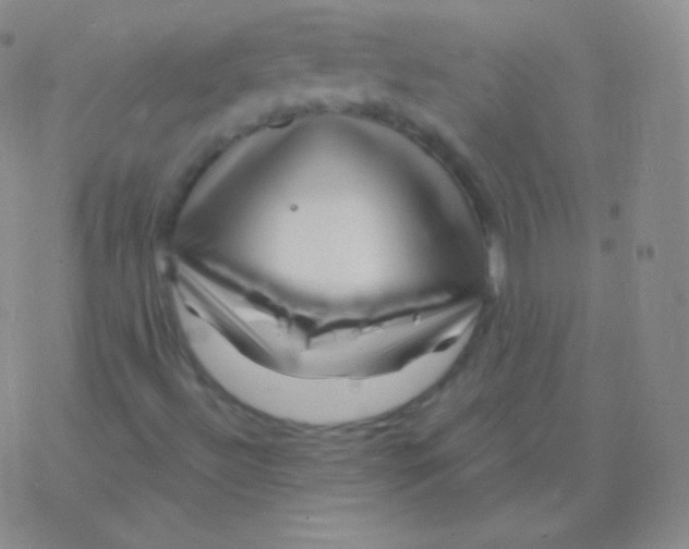 X0000076311492200610271926