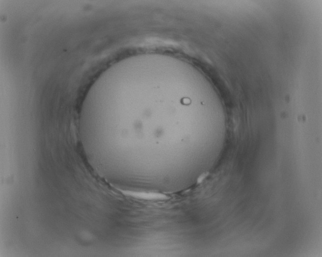 X0000076311493200610271926