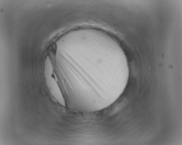 X0000076311494200610271926