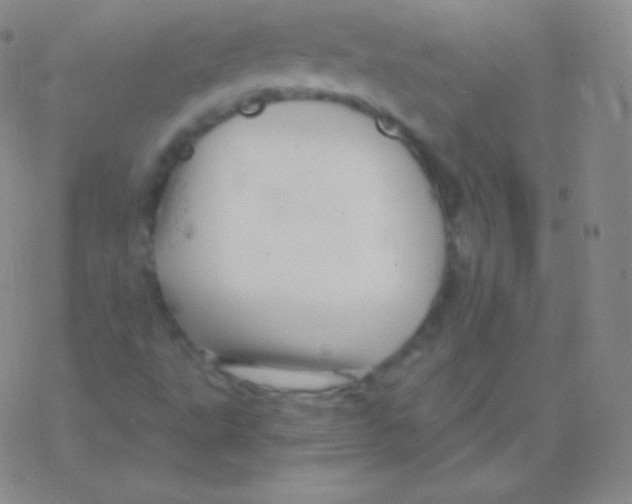 X0000076311495200610271926