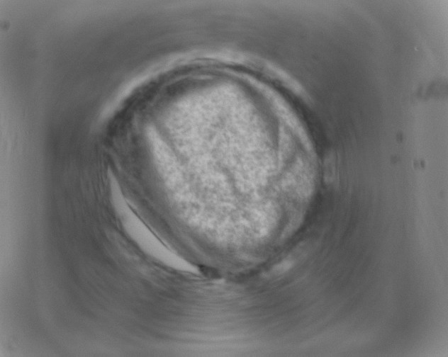 X0000076311496200610271926