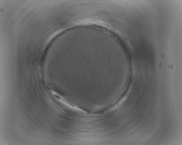 X0000076311497200610271926