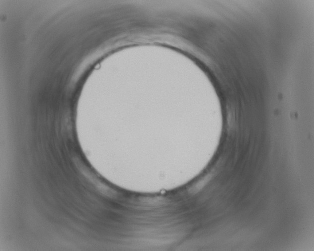 X0000076311498200610271926