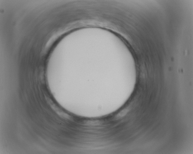 X0000076311499200610271926