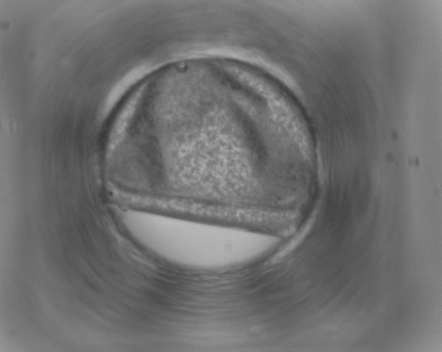 X0000076311501200610271926